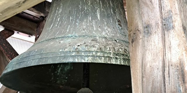 Nettoyage de fientes de pigeons