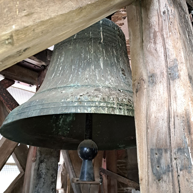 Nettoyage de fientes de pigeons